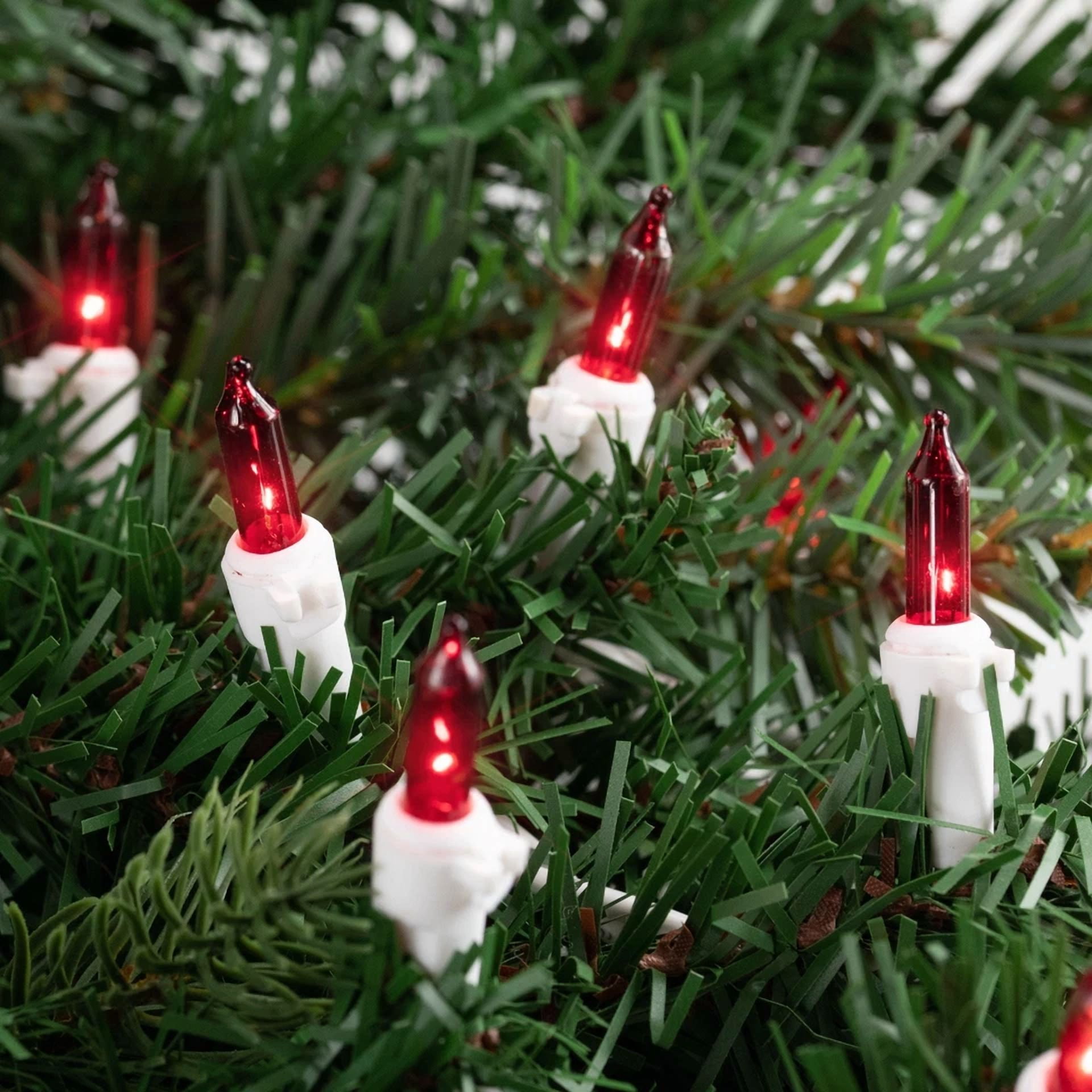 ZYLER- Northlight Set Of 50 Red Mini Christmas Lights 2.5" Spacing - White Wire - Image 3